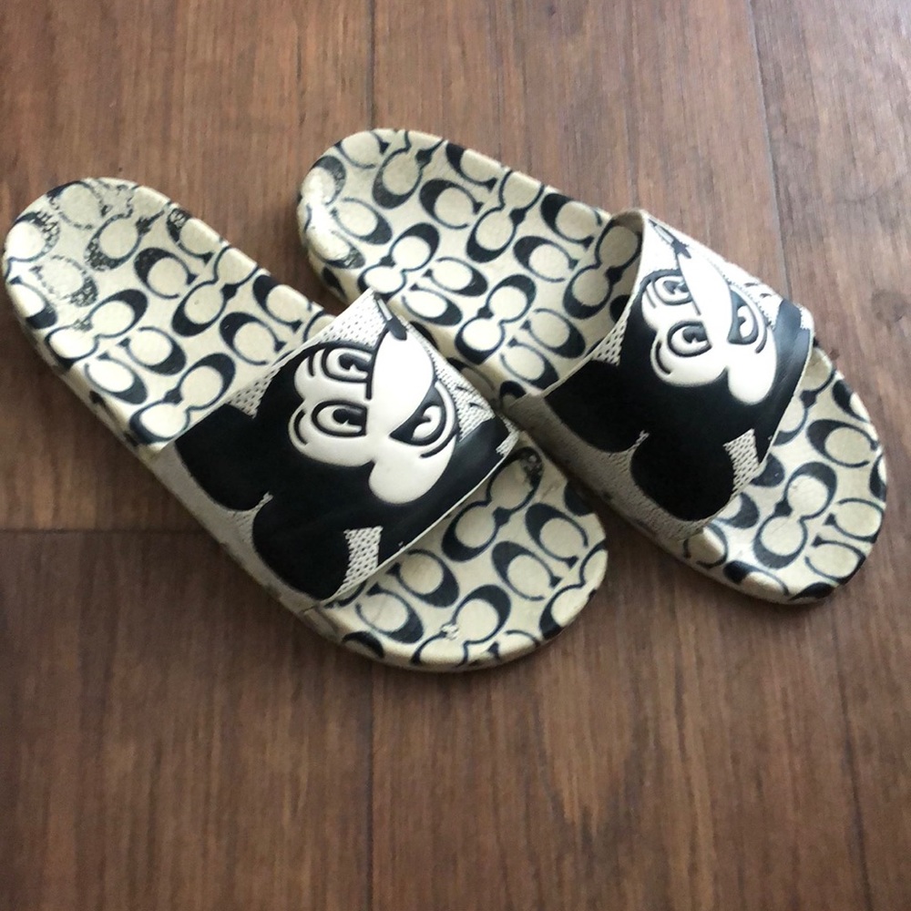 Coach slides